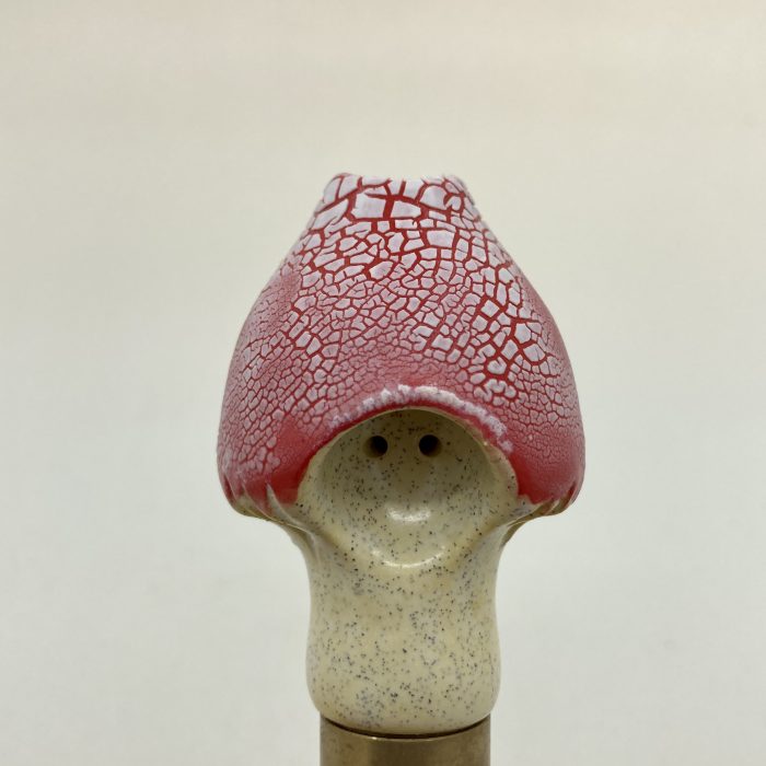 Red Mushroom - Image 3