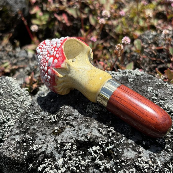 Amanita Mushroom