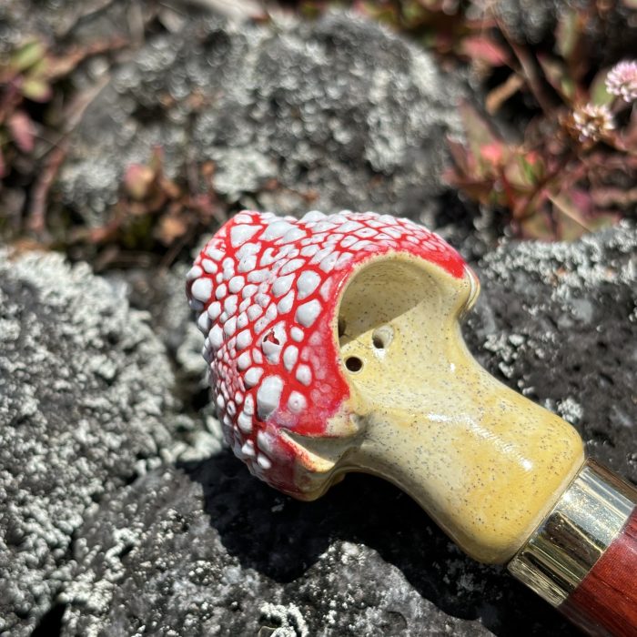 Amanita Mushroom - Image 4