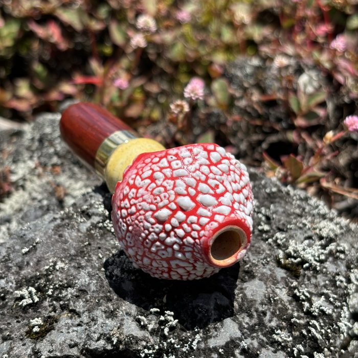 Amanita Mushroom - Image 3