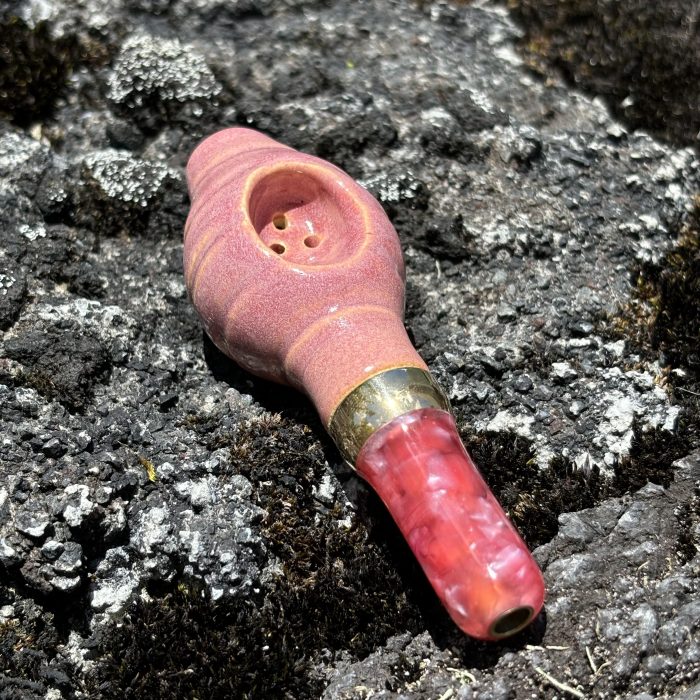 Pink Sea Shell