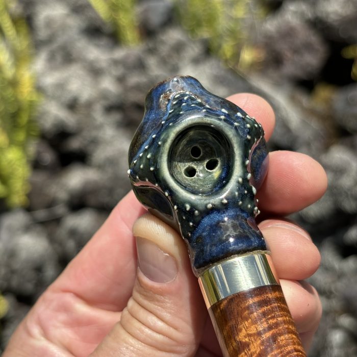 Blue Starfish With Curly Koawood