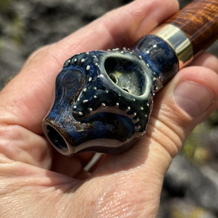 Blue Starfish With Curly Koawood - Image 2