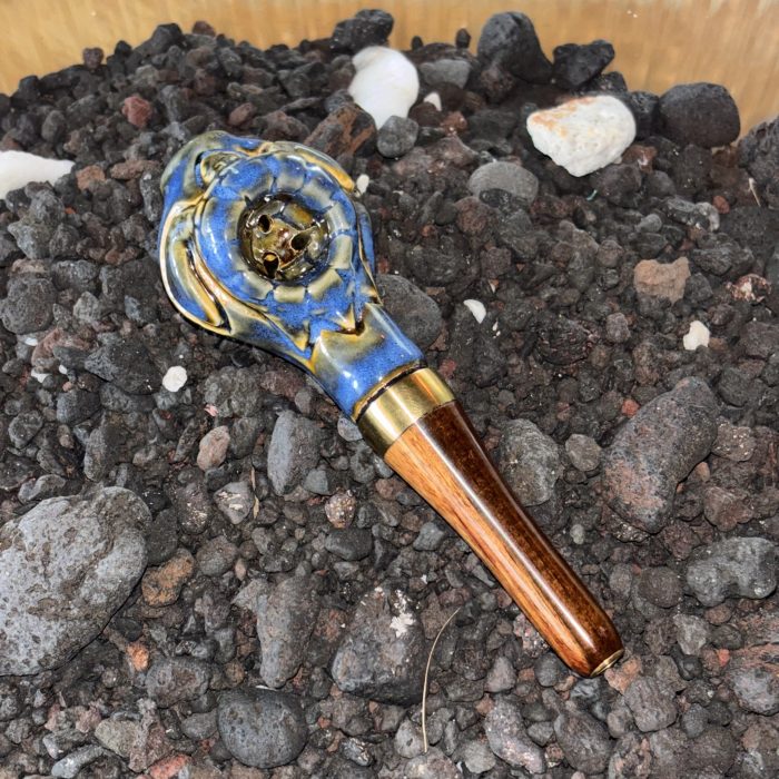 Cobalt blue turtle with Milo Wood